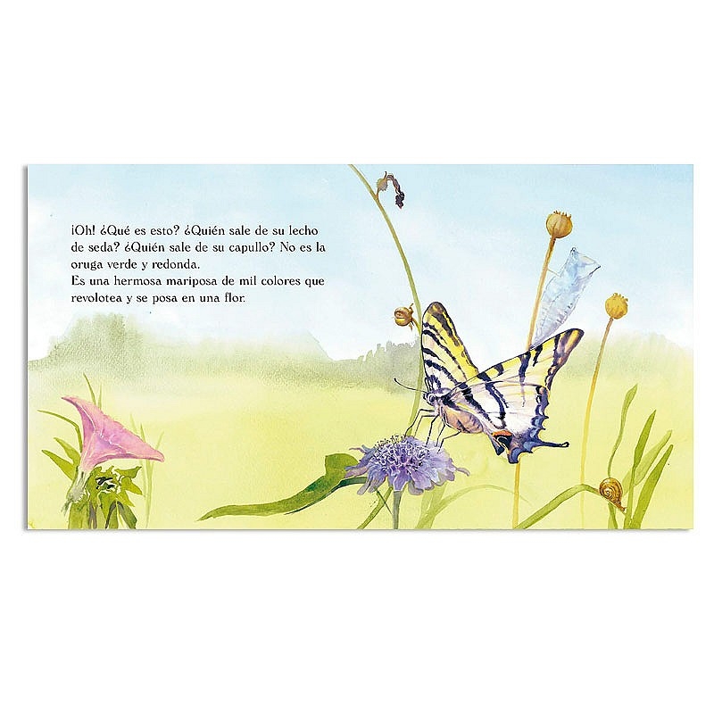 La oruga verde - Cuento recogido por las escuelas Waldorf - Aúpa Organics