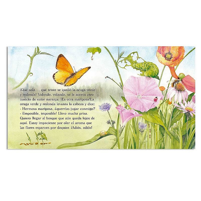 La oruga verde - Cuento recogido por las escuelas Waldorf - Aúpa Organics