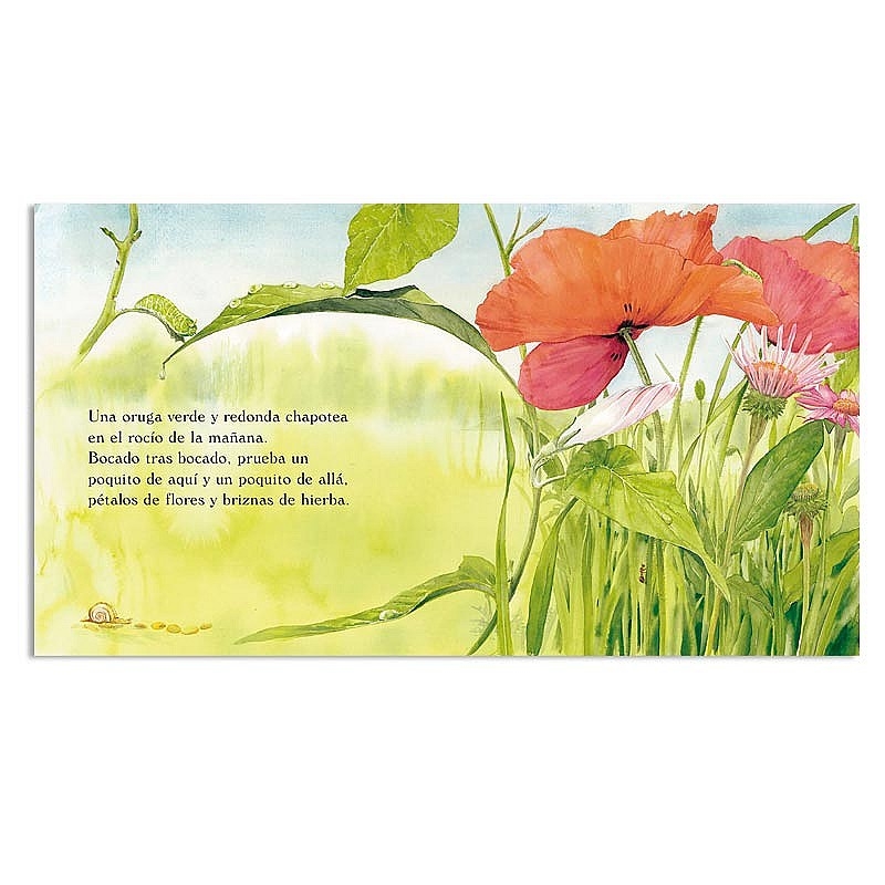 La oruga verde - Cuento recogido por las escuelas Waldorf - Aúpa Organics