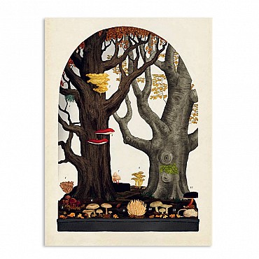 Fungarium - Katie Scott & Ester Gaya - Aúpa Organics