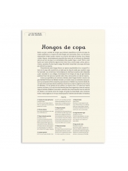 Fungarium - Katie Scott & Ester Gaya - Aúpa Organics