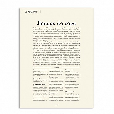 Fungarium - Katie Scott & Ester Gaya - Aúpa Organics