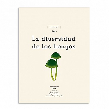 Fungarium - Katie Scott & Ester Gaya - Aúpa Organics