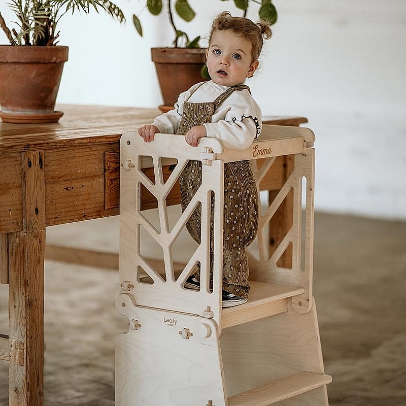 Extra Torre de Aprendizaje NOMBRE - Aúpa Organics 