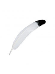 Pluma Natural de 25-30 cm - Aúpa Organics
