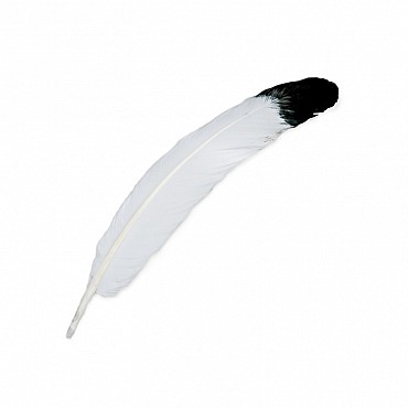 Pluma Natural de 25-30 cm - Aúpa Organics