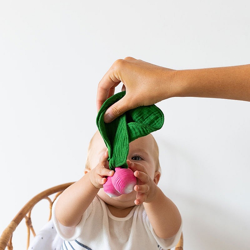 Mordedor y Doudou Ramona El Rabanillo Oli&Carol- Aúpa Organics