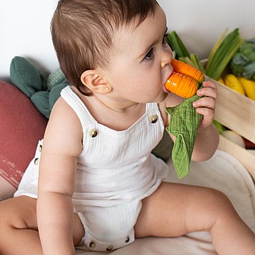 Mordedor y Doudou John Cathy La Zanahoria Oli&Carol- Aúpa Organics