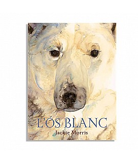L'Ós blanc - Jackie Morris Libros EAN_9788489825734