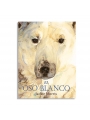 El Oso blanco - Jackie Morris - Aúpa Organics