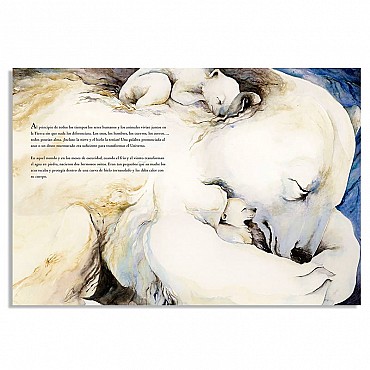 El Oso blanco - Jackie Morris - Aúpa Organics