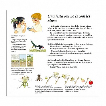 Fruits i Fruites - Gerda Muller - Aúpa Organics