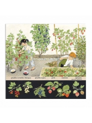 Fruits i Fruites - Gerda Muller - Aúpa Organics