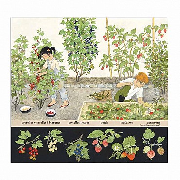 Fruits i Fruites - Gerda Muller - Aúpa Organics