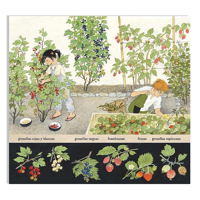 Frutos y frutas - Gerda Muller - Aúpa Organics