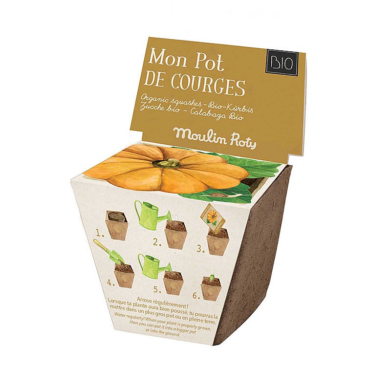 Mini Kit de Cultivo de Calabazas Orgánicas - Moulin Roty Juego MR_712156