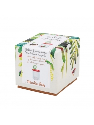 Tarro de Observación de Insectos de Moulin Roty - Aúpa Organics