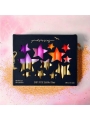 Caja de 10 Velas Silent Stars para el Anillo de Celebraciones Waldorf - Aúpa Organics