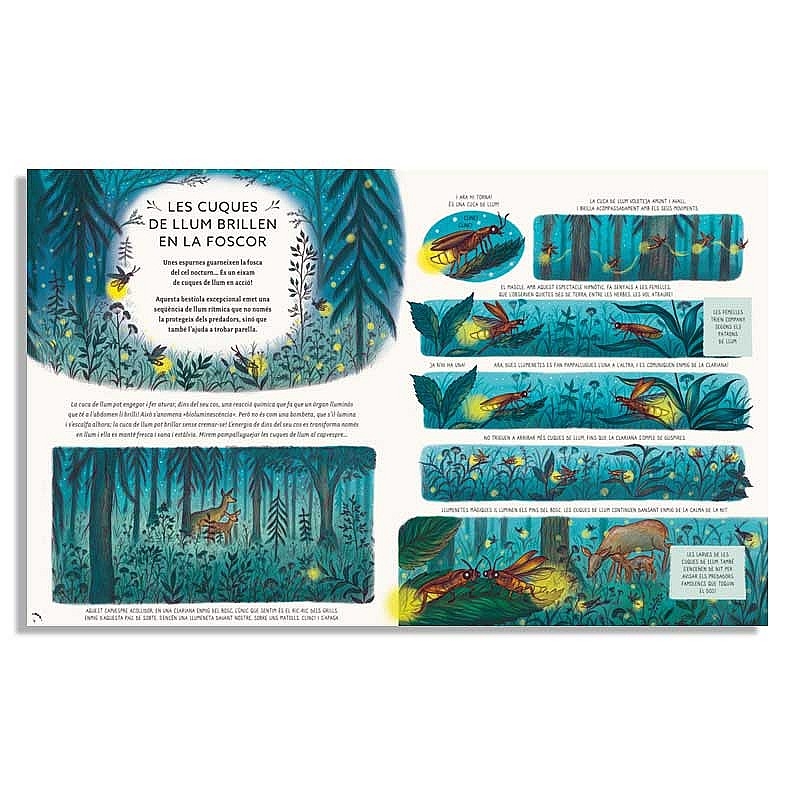 Amb calma, aquí i ara: més històries naturals de Laura Brand - Aúpa Organics