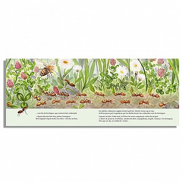 L'abella Flora i el prat de les 5 flors - Lisa Landwehr & Marta Busquets - Aúpa Organics