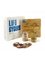 Puzzle los Ciclos de la Vida de Nowordbooks - Aúpa Organics
