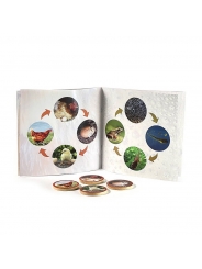 Puzzle los Ciclos de la Vida de Nowordbooks - Aúpa Organics