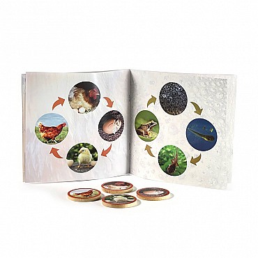 Los Ciclos de la Vida de Nowordbooks - Aúpa Organics
