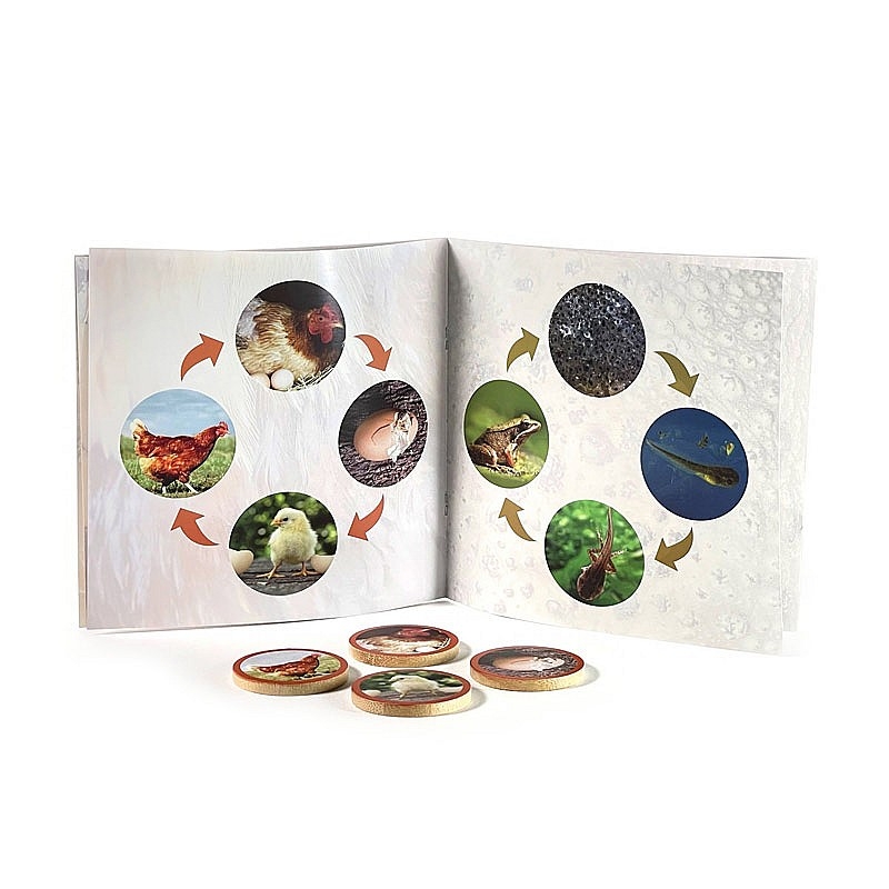 Puzzle los Ciclos de la Vida de Nowordbooks - Aúpa Organics Puzzle los Ciclos de la Vida de Nowordbooks - Aúpa Organics