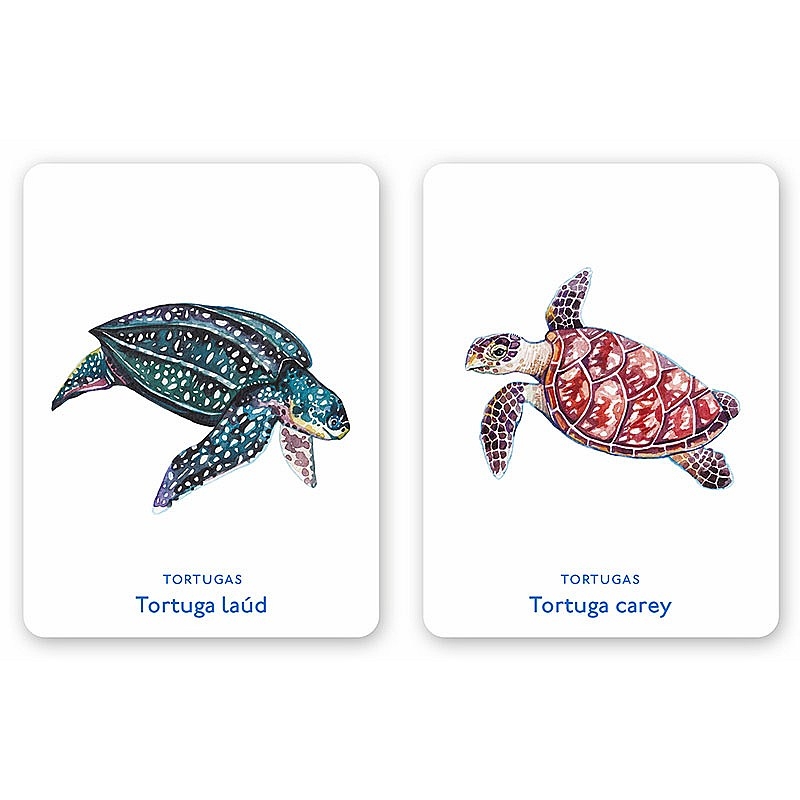 Juego de Cartas Un mar de animales Editorial MTM - Aúpa Organics