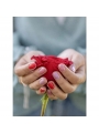 Esmalte de uñas al agua Maquillaje Infantil Ecológico Namaki - Aúpa Organics