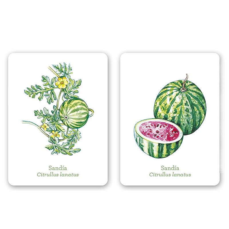 Juego de Cartas Una planta un fruto Editorial MTM - Aúpa Organics