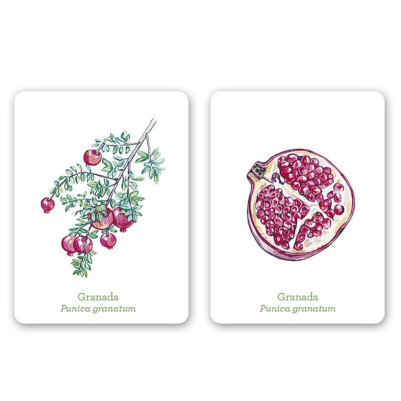 Juego de Cartas Una planta un fruto Editorial MTM - Aúpa Organics