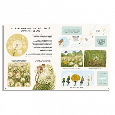 Con calma, aquí y ahora: más historias de la naturaleza - Laura Brand - Aúpa Organics