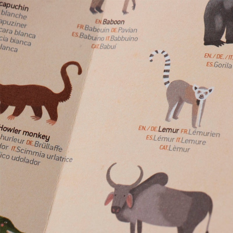 Póster Mapamundi + Pegatinas "Animal World" de Londji - Aúpa Organics