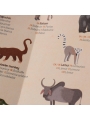 Póster Mapamundi + Pegatinas "Animal World" de Londji - Aúpa Organics