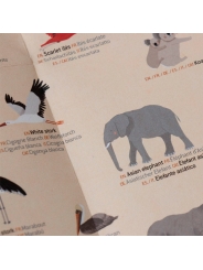 Póster Mapamundi + Pegatinas "Animal World" de Londji - Aúpa Organics