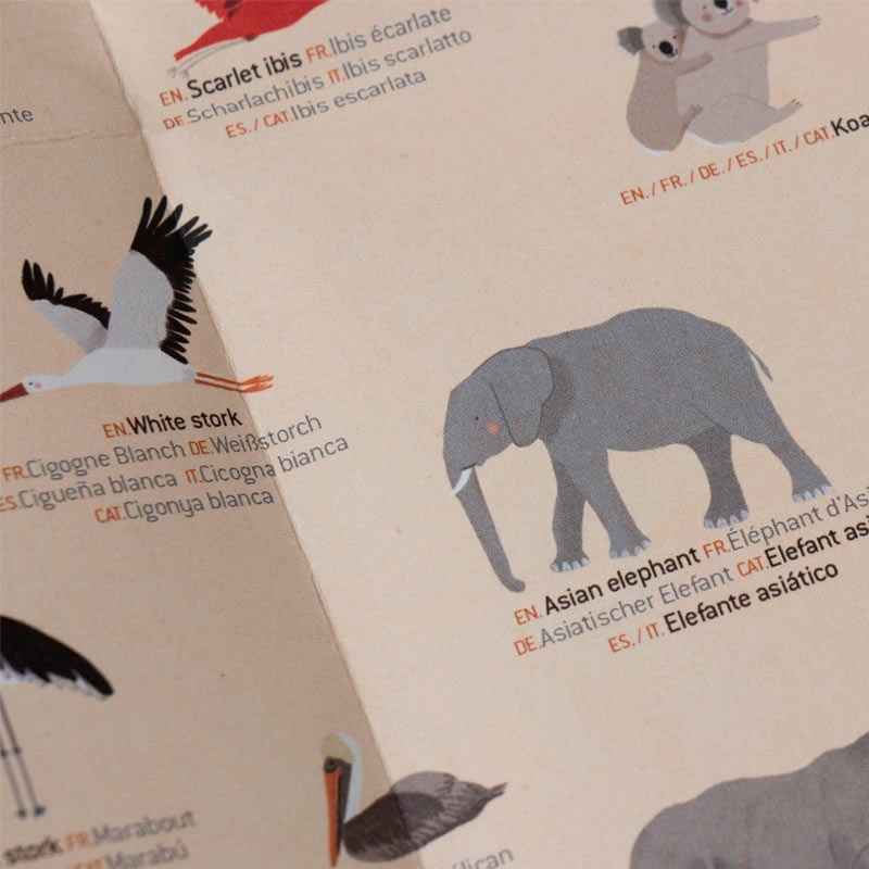 Póster Mapamundi + Pegatinas "Animal World" de Londji - Aúpa Organics