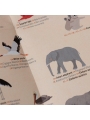 Póster Mapamundi + Pegatinas "Animal World" de Londji - Aúpa Organics