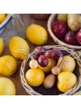 Adornos de Pascua Hop & Peep de Grapat | Aúpa Organics