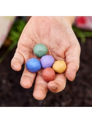 Pack de 6 Bombas de Semillas de Flores Silvestres - Aúpa Organics