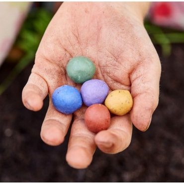 Pack de 6 Bombas de Semillas de Flores Silvestres - Aúpa Organics