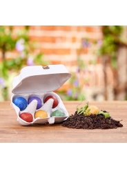 Pack de 6 Bombas de Semillas de Flores Silvestres - Aúpa Organics