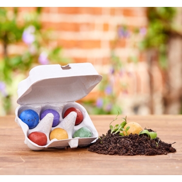 Pack de 6 Bombas de Semillas de Flores Silvestres - Aúpa Organics