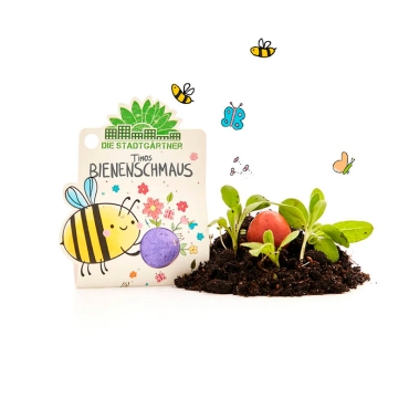 Bomba de Semillas para Abejas. Flores Silvestres - Aúpa Organics