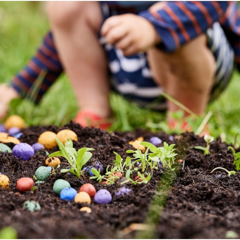 Pack de 25 Bombas de Semillas de Flores Silvestres - Aúpa Organics
