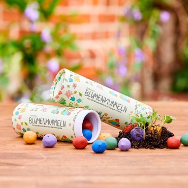 Pack de 25 Bombas de Semillas de Flores Silvestres - Aúpa Organics