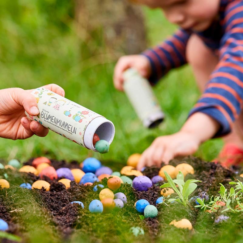 Pack de 25 Bombas de Semillas de Flores Silvestres - Aúpa Organics