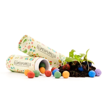 Pack de 25 Bombas de Semillas de Flores Silvestres - Aúpa Organics