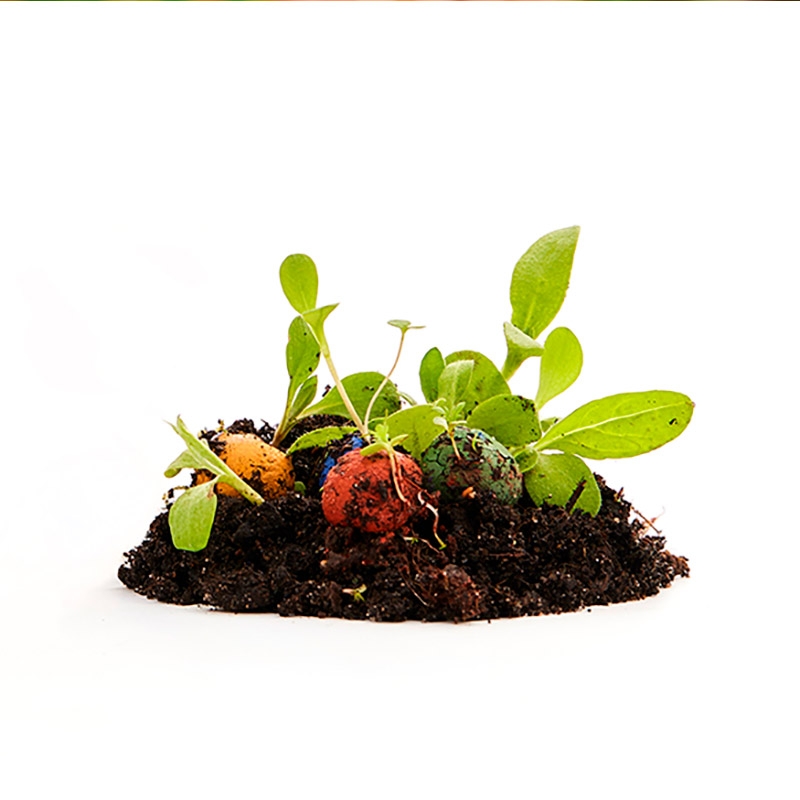 Pack de 6 Bombas de Semillas de Flores Silvestres - Aúpa Organics