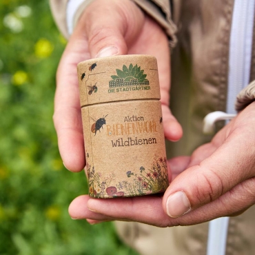 Mezcla de Semillas de Flores para Abejas Silvestres - Aúpa Organics